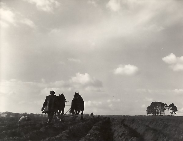 Harry Davis Ridging Potatoes