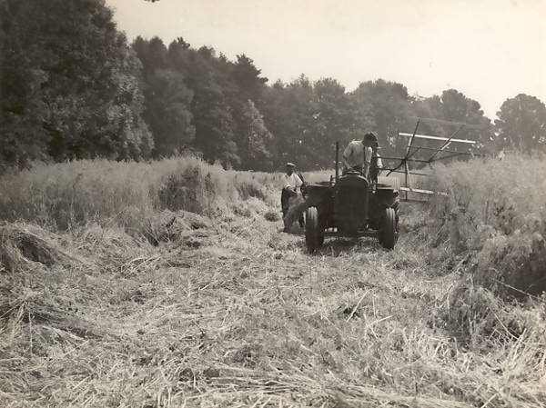 Harvesting