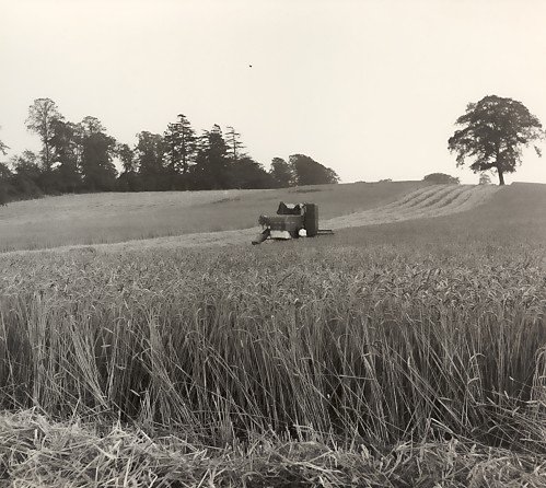 Puttenham Park